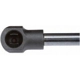 Purchase Top-Quality Lift Support by STRONG ARM - 6653 pa10