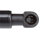 Purchase Top-Quality Lift Support by STRONG ARM - 6653 pa7