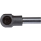 Purchase Top-Quality Lift Support by STRONG ARM - 6653 pa8