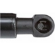 Purchase Top-Quality Lift Support by STRONG ARM - 6653 pa9