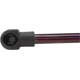 Purchase Top-Quality Lift Support by STRONG ARM - 6711 pa7