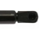 Purchase Top-Quality Lift Support by STRONG ARM - 6753 pa3