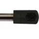 Purchase Top-Quality Lift Support by STRONG ARM - 6754 pa6
