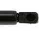 Purchase Top-Quality Lift Support by STRONG ARM - 6754 pa7