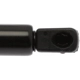 Purchase Top-Quality Lift Support by STRONG ARM - 6764 pa8