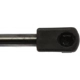 Purchase Top-Quality Lift Support by STRONG ARM - 6767 pa8