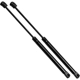 Purchase Top-Quality Lift Support by STRONG ARM - 6768 pa6