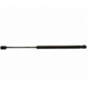Purchase Top-Quality Lift Support by STRONG ARM - 6769 pa9