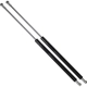 Purchase Top-Quality Lift Support by STRONG ARM - 6774 pa6