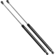 Purchase Top-Quality Lift Support by STRONG ARM - 6779 pa5