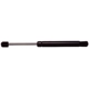 Purchase Top-Quality Lift Support by STRONG ARM - 6807 pa1
