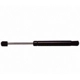 Purchase Top-Quality Lift Support by STRONG ARM - 6807 pa2