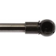 Purchase Top-Quality Lift Support by STRONG ARM - 6837 pa7