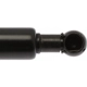 Purchase Top-Quality Lift Support by STRONG ARM - 6837 pa8