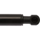 Purchase Top-Quality Lift Support by STRONG ARM - 6839 pa7