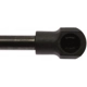 Purchase Top-Quality Lift Support by STRONG ARM - 6839 pa8
