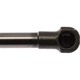 Purchase Top-Quality Lift Support by STRONG ARM - 6842 pa7