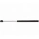 Purchase Top-Quality Lift Support by STRONG ARM - 6845 pa5