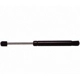 Purchase Top-Quality Lift Support by STRONG ARM - 6848 pa2