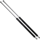 Purchase Top-Quality Lift Support by STRONG ARM - 6849 pa6