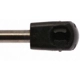 Purchase Top-Quality Lift Support by STRONG ARM - 6862 pa2