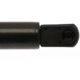 Purchase Top-Quality Lift Support by STRONG ARM - 6862 pa3