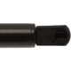 Purchase Top-Quality Lift Support by STRONG ARM - 6862 pa6