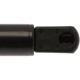 Purchase Top-Quality Lift Support by STRONG ARM - 6866 pa8