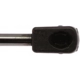 Purchase Top-Quality STRONG ARM - 6877 - Lift Support pa8
