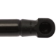 Purchase Top-Quality Lift Support by STRONG ARM - 6880 pa7