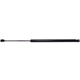 Purchase Top-Quality STRONG ARM - 6882 - Lift Support pa1