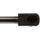 Purchase Top-Quality STRONG ARM - 6883 - Lift Support pa9