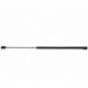 Purchase Top-Quality Lift Support by STRONG ARM - 6900 pa7