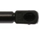 Purchase Top-Quality Lift Support by STRONG ARM - 6900 pa9