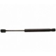 Purchase Top-Quality Lift Support by STRONG ARM - 7006 pa10
