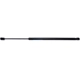 Purchase Top-Quality STRONG ARM - 7012 - Liftgate Lift Support pa2