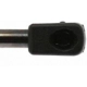 Purchase Top-Quality Lift Support by STRONG ARM - 7014 pa10