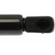 Purchase Top-Quality Lift Support by STRONG ARM - 7014 pa11