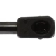 Purchase Top-Quality Lift Support by STRONG ARM - 7015 pa8