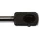 Purchase Top-Quality Lift Support by STRONG ARM - 7017 pa10