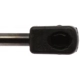 Purchase Top-Quality Lift Support by STRONG ARM - 7018 pa8