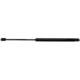 Purchase Top-Quality Lift Support by STRONG ARM - 7022 pa2