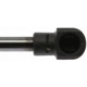 Purchase Top-Quality Lift Support by STRONG ARM - 7028 pa10