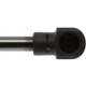 Purchase Top-Quality Lift Support by STRONG ARM - 7028 pa8