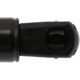 Purchase Top-Quality Lift Support by STRONG ARM - 7039 pa7
