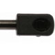 Purchase Top-Quality Lift Support by STRONG ARM - 7051 pa10
