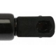 Purchase Top-Quality Lift Support by STRONG ARM - 7051 pa11