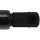 Purchase Top-Quality Lift Support by STRONG ARM - 7051 pa7