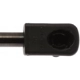 Purchase Top-Quality Lift Support by STRONG ARM - 7051 pa8