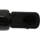 Purchase Top-Quality Lift Support by STRONG ARM - 7091 pa1